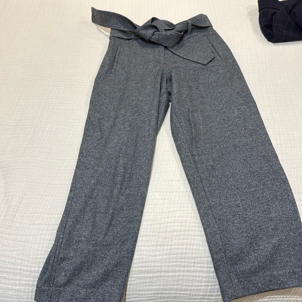 Aritzia trousers